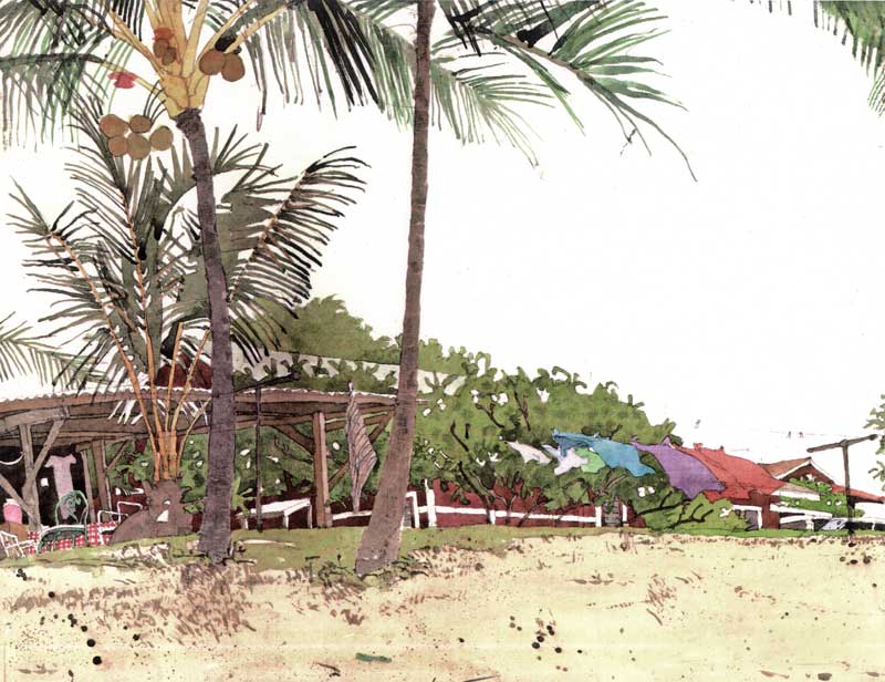 Coconuts and Pink Lemonade by Eddie Flotte