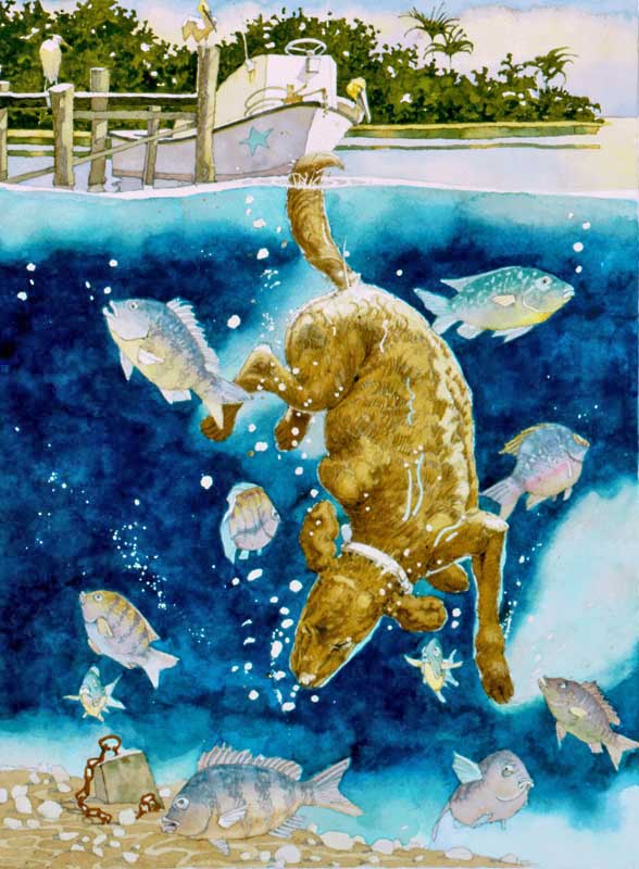 Diving Dog by Eddie Flotte