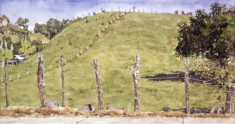 Maliko Hill by Eddie Flotte