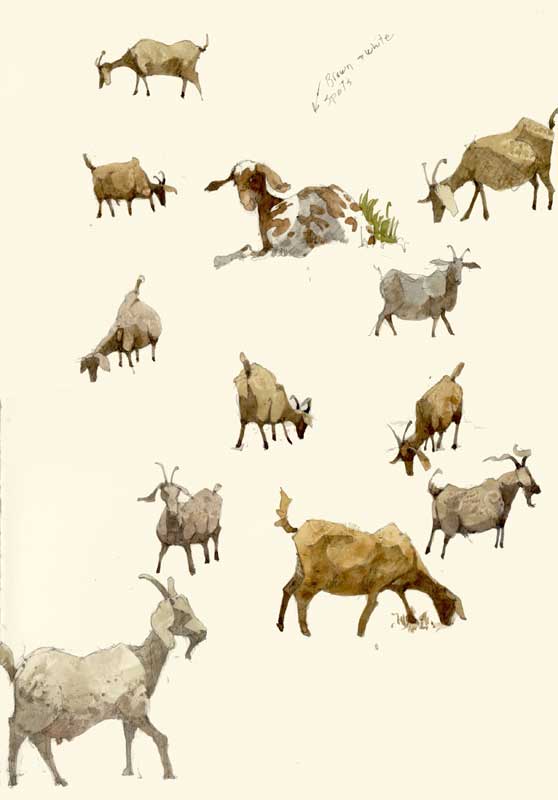 Sketches of Billy Goats by Eddie Flotte