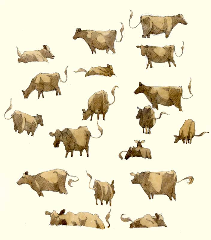 Sketches of Cows by Eddie Flotte