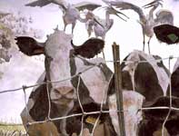 Painting by Eddie Flotte: A Most Adventurous Dairy Cow 20