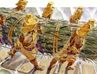 Painting by Eddie Flotte: Angkat 25