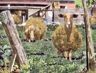 Painting by Eddie Flotte: Bah Da Yew