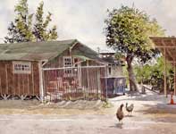 Painting by Eddie Flotte: Chickens at Kitada's