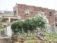 Painting by Eddie Flotte: Going Going Gone