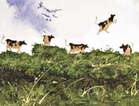 Painting by Eddie Flotte: Haleakala High