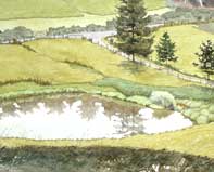 Painting by Eddie Flotte: Looking Down on Kuerner's Farm Pond