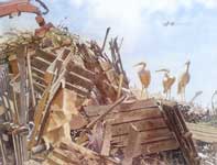 Painting by Eddie Flotte: No Regrets