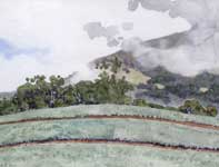 Painting by Eddie Flotte: Piiholo Pineapple Fields