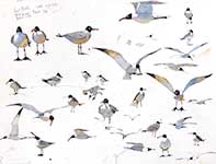 Painting by Eddie Flotte: Seagulls