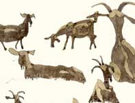 Painting by Eddie Flotte: Sketches of Goats
