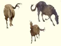 Painting by Eddie Flotte: Sketches of Horses, Cows, and Egrets