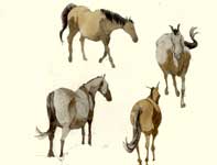 Painting by Eddie Flotte: Sketches of Horses