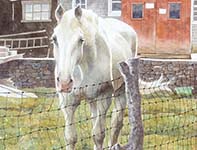 Painting by Eddie Flotte: The Spirit of Ring Road