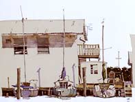 Painting by Eddie Flotte: Three Florida Sailboats